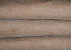 Brown T-Shirts