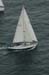 SaltWhistle-3