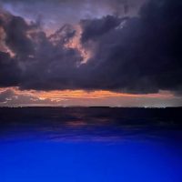 IMG_0551
