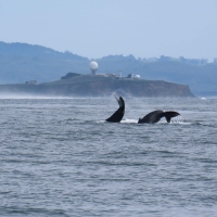 IMG_0012-scaled