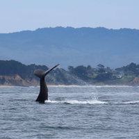 IMG_0013-scaled