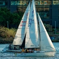 54770666789_07678195bf_c