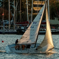 54770670283_0703a50ec9_c