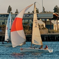 54770670378_23f880a686_c