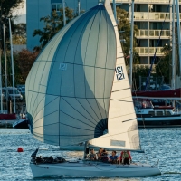 54770670713_f16f543c11_c