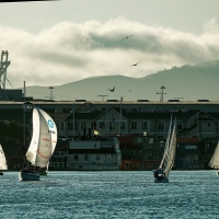 54770671458_e31c2ab5e0_c