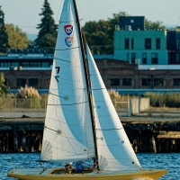 54770673643_74d05d8496_c