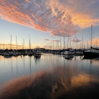 Anneke-Dury-Sunset-Encinal-Yacht-Club