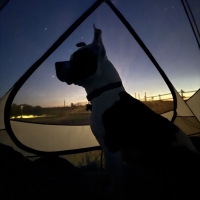 The real captain.⛵️