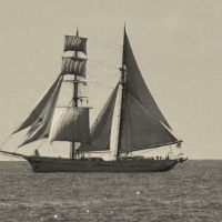 Matthew.Turner.photo_.dwayne_newton