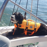 inbound189246418215429961-scaled