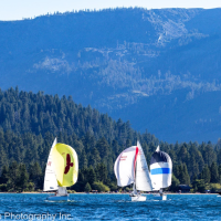 July Beer Cans in South Lake Tahoe © Sam Corso
