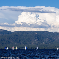 July Beer Can in South Lake Tahoe © Sam Corso