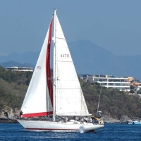Cruising division winner, Great Fun, sails by another whale on the coarse.