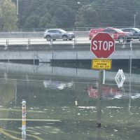 California King Tides