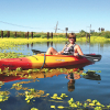 Kayak the Delta