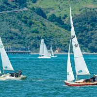 55138119782_2d6f1c3599_c