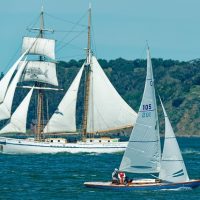 55139006311_befc233a48_z