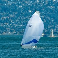 55139243679_122a3491f3_c