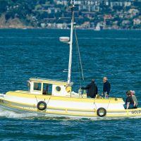 55139356100_00401d1a4a_h