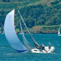 55139390940_d26547d91e_z