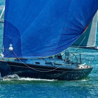 55139397100_67d547ac66_c