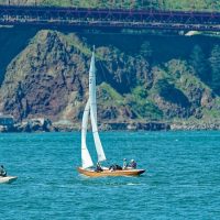 55139398500_505b8a1cdb_c