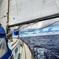 Frolic-HI-CA-30Jul25