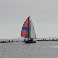 PXL_20260131_184157130