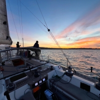 Shearwater_2