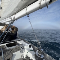 Shearwater_rainbow