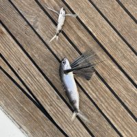 IMG_7815-scaled