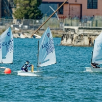 2025-Bay-Area-Youth-Sailing-races-July-12th-at-Encinal-Yacht-Club-Slackwater_SF-11