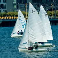 2025-Bay-Area-Youth-Sailing-races-July-12th-at-Encinal-Yacht-Club-Slackwater_SF-13