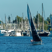 2025-OYC-Sweet-Sixteen-July-9th-by-Slackwater_SF-9