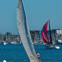 2026-Encinal-Regatta-July-25th-by-Slackwater_SF-14