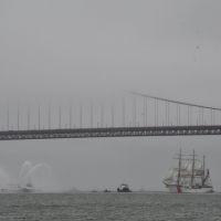 DSC_0523