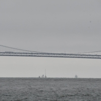 DSC_0662