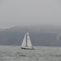 DSC_0663