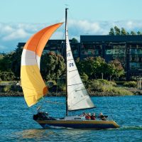 Island-Nights-Slackwater_SF-14