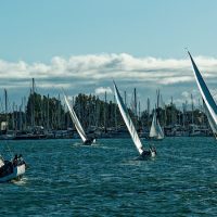 Island-Nights-Slackwater_SF-3