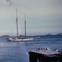 Ramona-anchored-off-the-bait-shop-pier-before-it-was-the-Trident