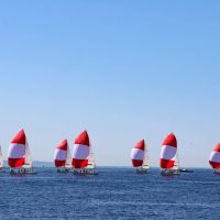 Red kites and a blue sky in SoCal.
