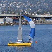 'Double Agent' in the Estuary.