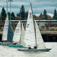 A huge variety of sailboats live and sail in the comfortable conditions of the estuary.