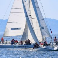 Eventual winners College of Charleston and USC duke it out upwind at the POLA Harbor Cup.