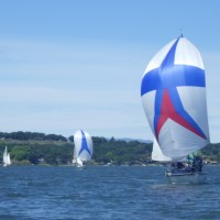 RIMG0516
