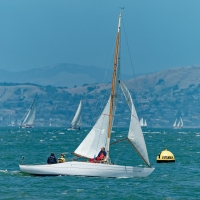54547709884_081692d684_h