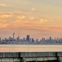 view-of-SF-from-YC©Anneke-Dury