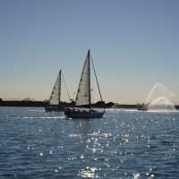 DSC08140